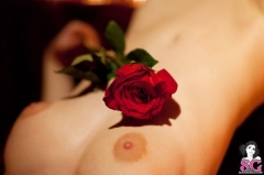 Чёрная вдова в кожаных стрингах приготовила топор и розу 2 фото